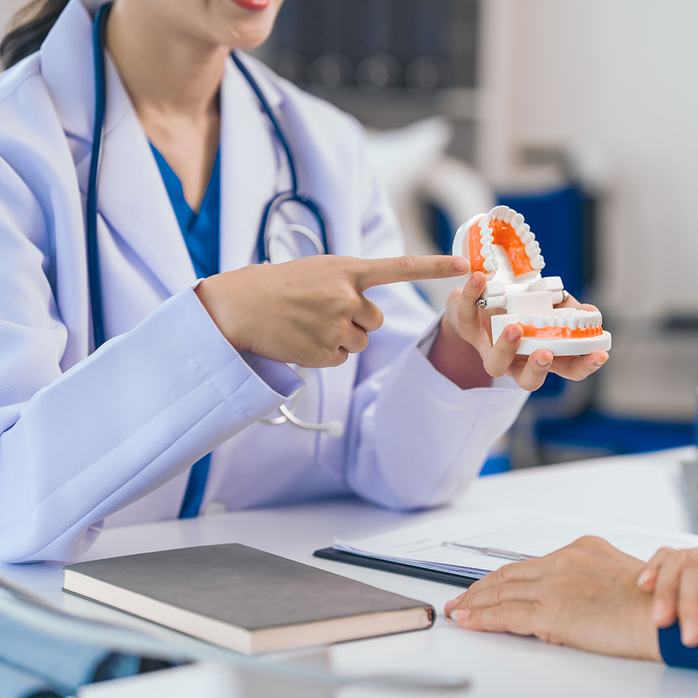 A dentist is holding up a 3D model of a tooth to demonstrate its structure and function, with a patient attentively observing.
